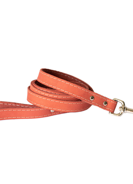Traditional Coral Reef Leather Leash