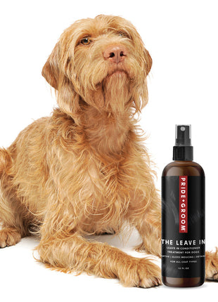 THE LEAVE IN Dog Detangling Leave in Spray — Detangling, Moisturizing & Conditioning Leave In Spray for Dogs