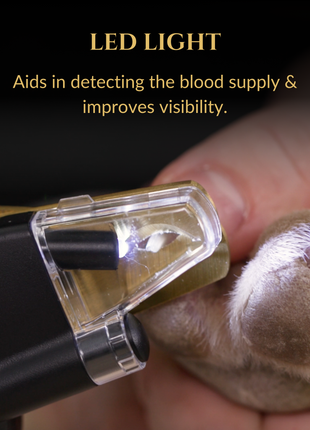 3 in 1 Nail Clippers