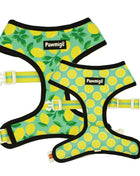 Worth The Squeeze Reversible Harness - Pup List