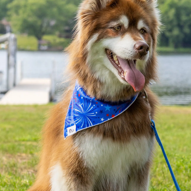 Patriotic Dog Bandana