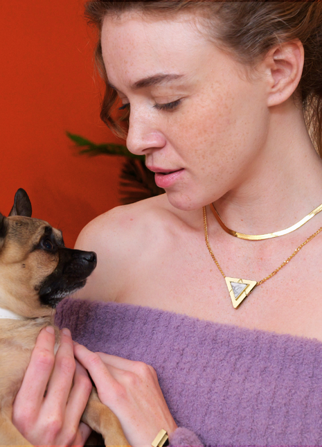 Starlight Howl Match Your Pet Gift Box Set