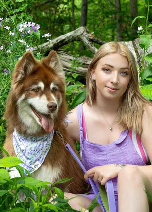 Lavender Blooms Dog Bandana
