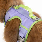 Lavender / Meadow Green / Medium