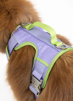 Lavender Garden Ultimate Dog Harness