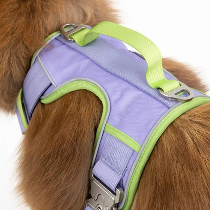 Lavender Garden Ultimate Dog Harness