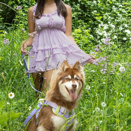 Lavender Garden Ultimate Dog Harness