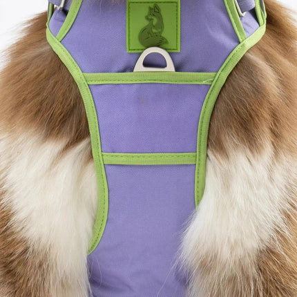 Lavender Garden Ultimate Dog Harness