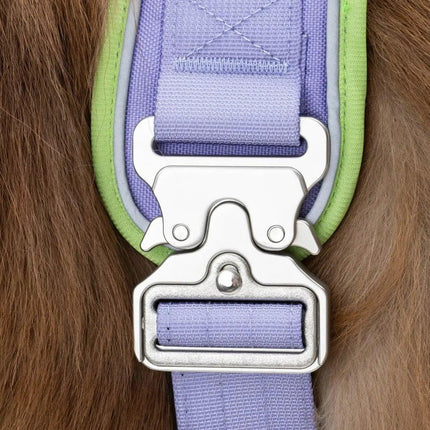 Lavender Garden Ultimate Dog Harness