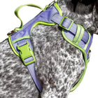 Lavender Garden Ultimate Dog Harness