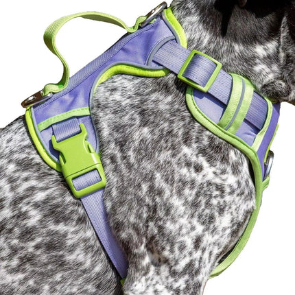 Lavender Garden Ultimate Dog Harness