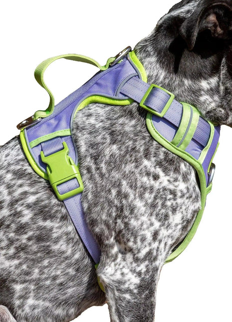 Lavender Garden Ultimate Dog Harness
