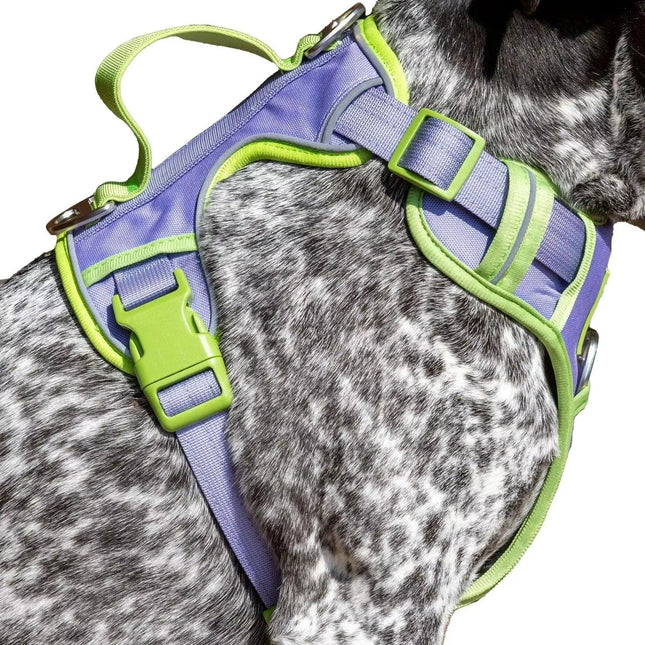 Lavender Garden Ultimate Dog Harness