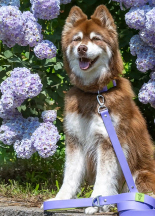 Lavender Garden Waterproof Dog Leash