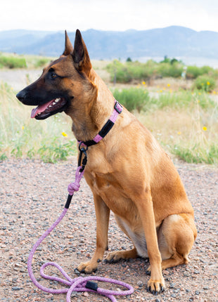 Adventure Style Mountain Blush Climbing Rope Dog Collar