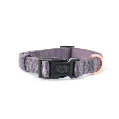 City Collar - Lilac Gray - Pup List