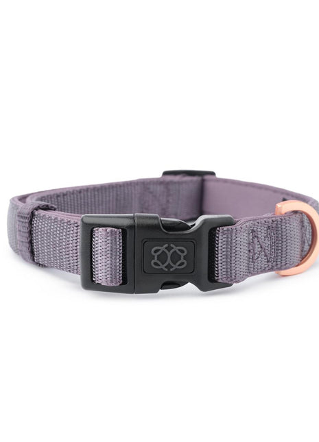 City Collar - Lilac Gray - Pup List