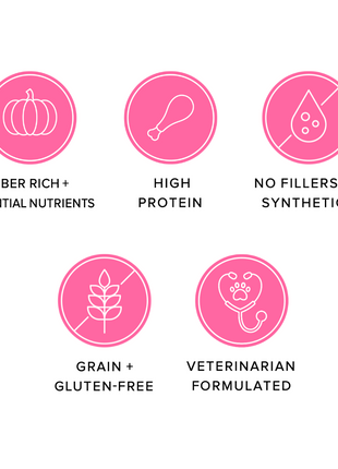 Freeze Dried Dog Treats - Turkey Poppers