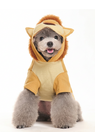 Lion King Sweatshirt