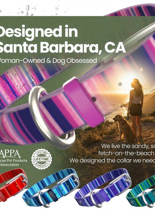 Waterproof Dog Collars – Washable Dog Collar, Stink-Proof & Durable