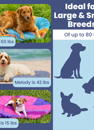 Travel Dog Bed – Foldable, Lightweight, Water Resistant Mat