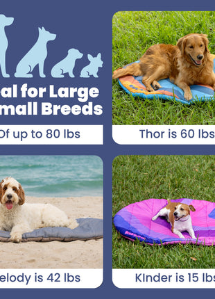 Travel Dog Bed - Foldable & Packable for Travel, Road Trip, Camping