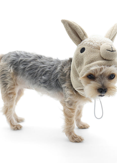 Llama Hat