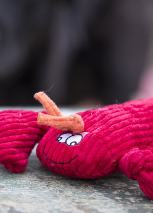 McCraken Lobsta™ Knottie® Plush Dog Toy