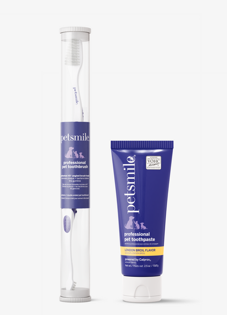 Professional Toothpaste London Broil Small & Professional Pet Toothbrush