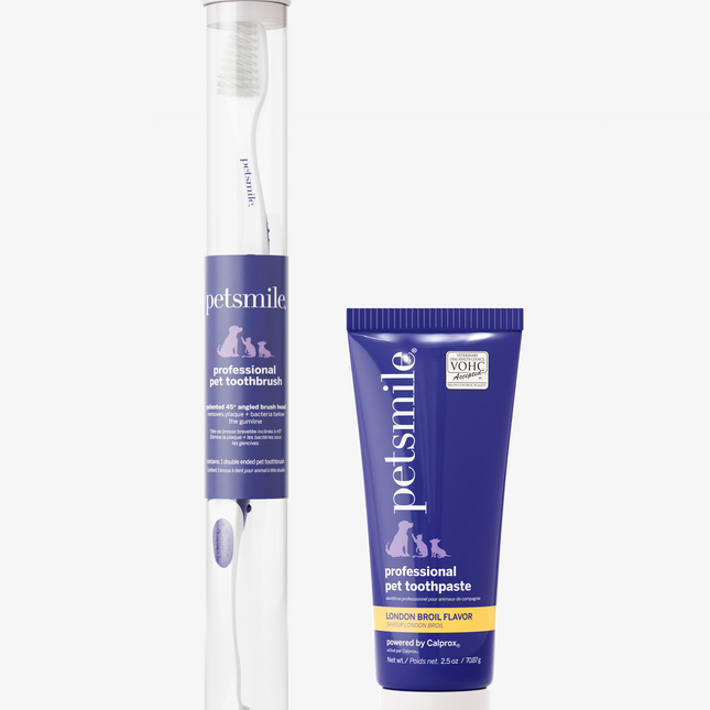 Professional Toothpaste London Broil Small & Professional Pet Toothbrush