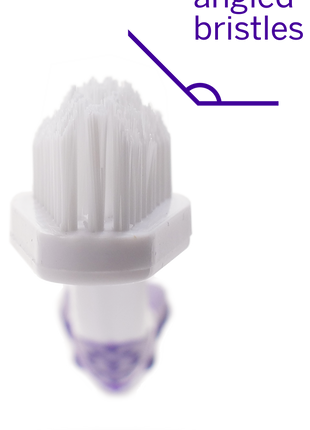 Professional Toothpaste London Broil Small & Professional Pet Toothbrush