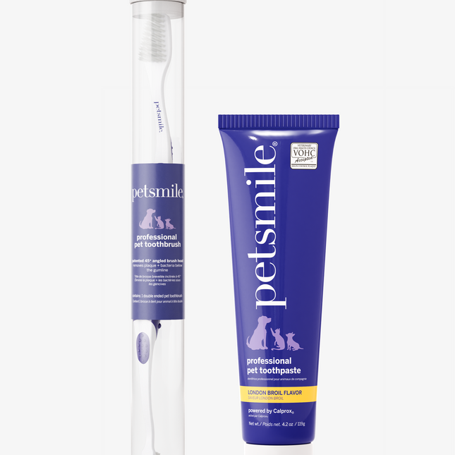 Professional Toothpaste London Broil Large & Professional Pet Toothbrush