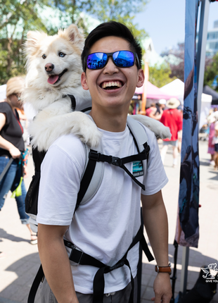 Knavigate | Advanced Dog Carrier with Internal Frame & Hip Belt