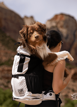 Knavigate | Advanced Dog Carrier with Internal Frame & Hip Belt
