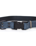 Celtic Sport Blue Jeans Leather Dog Collar