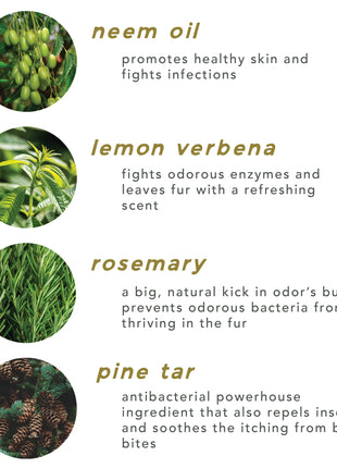 dog shampoo bar / deodorizing