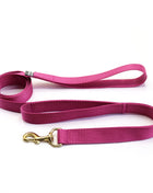 double handle leash / traffic leash