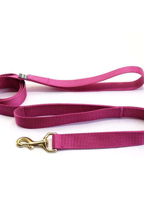 double handle leash / traffic leash