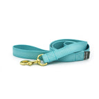 ice blue