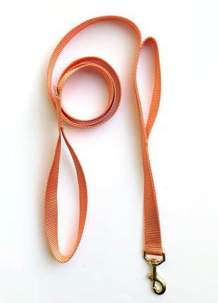 double handle leash / traffic leash