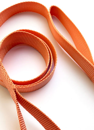 double handle leash / traffic leash - Pup List