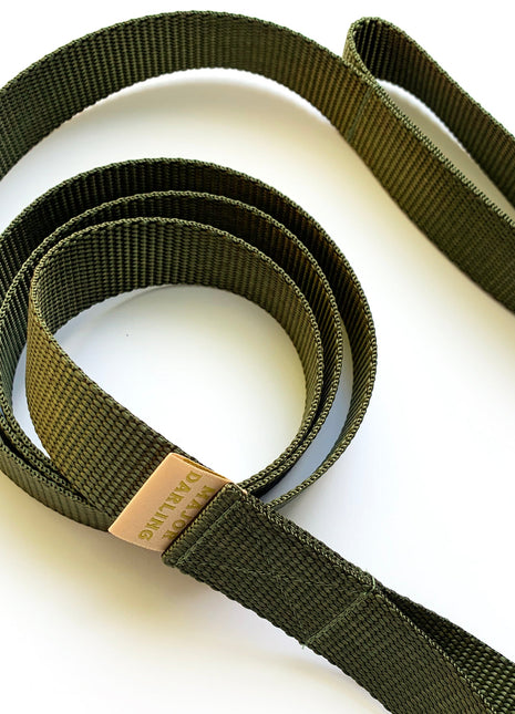 double handle leash / traffic leash