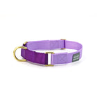 martingale collar / lilac + violet