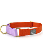 martingale collar / orange + lilac