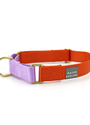 martingale collar / orange + lilac