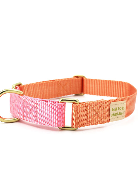 martingale collar / peach + pink