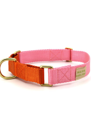 martingale collar / pink + orange