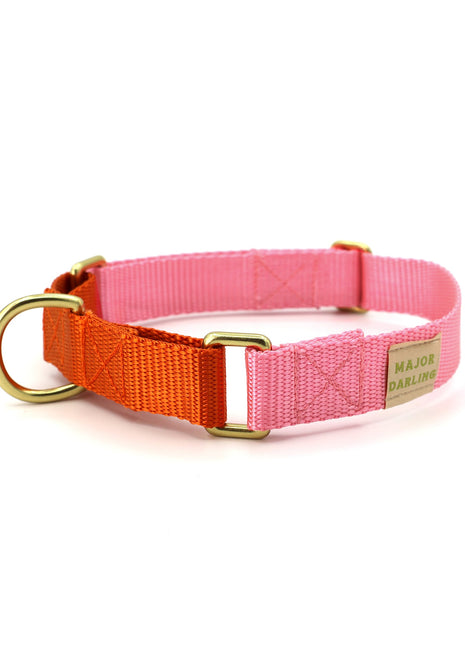 martingale collar / pink + orange