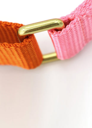 martingale collar / pink + orange