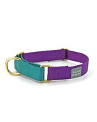 martingale collar / violet + teal